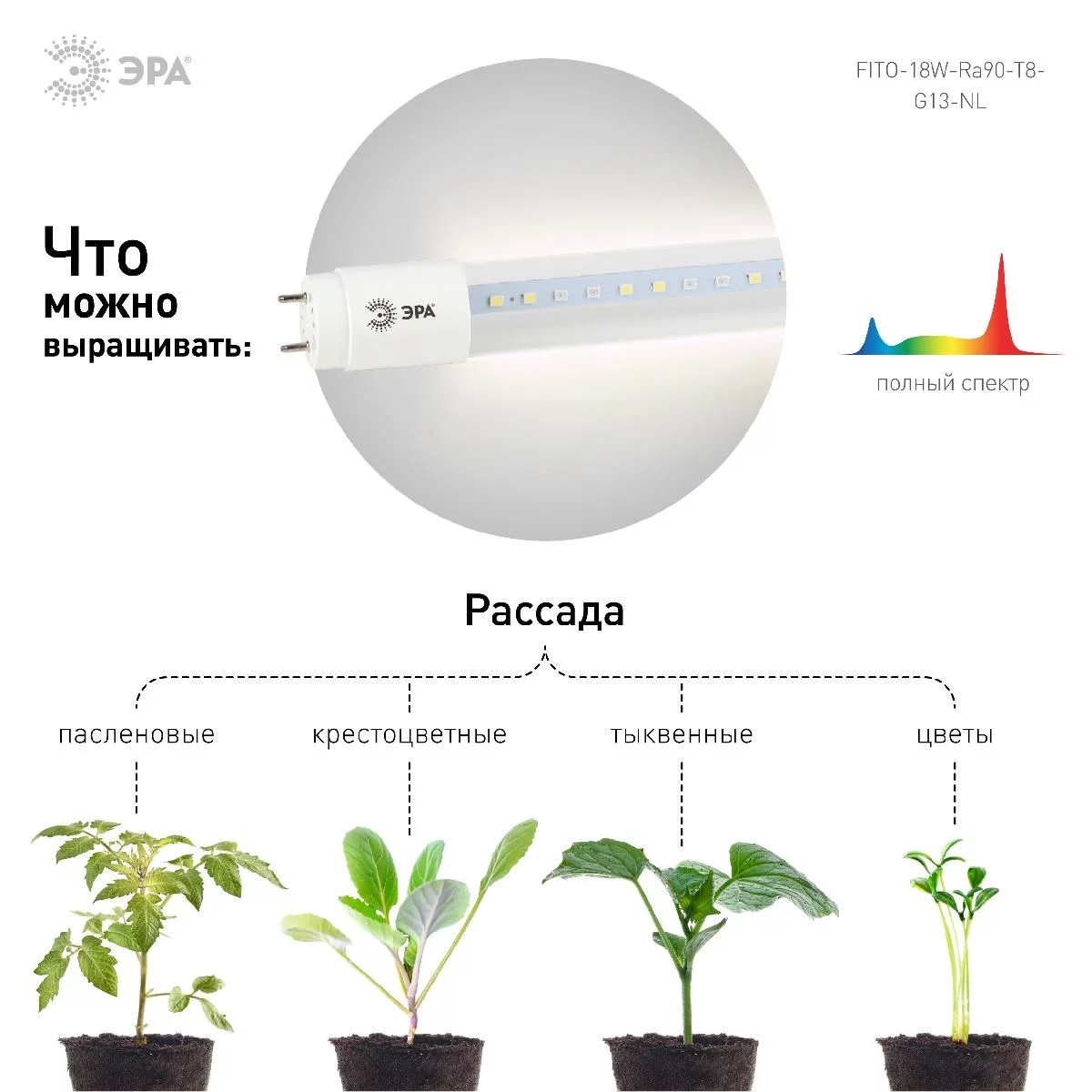 Фитолампа для растений светодиодная ЭРА FITO-18W-Ra90-Т8-G13-NL полного спектра 18 Вт Т8 G13