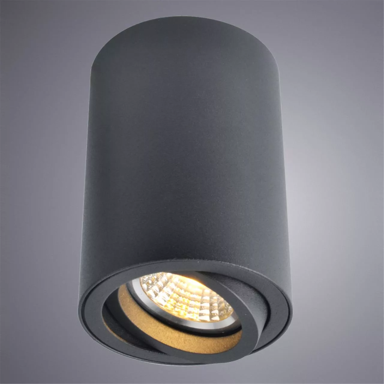  Arte Lamp SENTRY Черный A1560PL-1BK