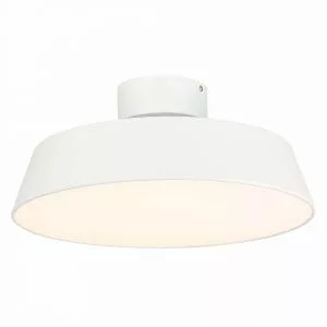 Светильник потолочный Белый/Белый LED 1*30W 3000K VIGO SLE600252-01