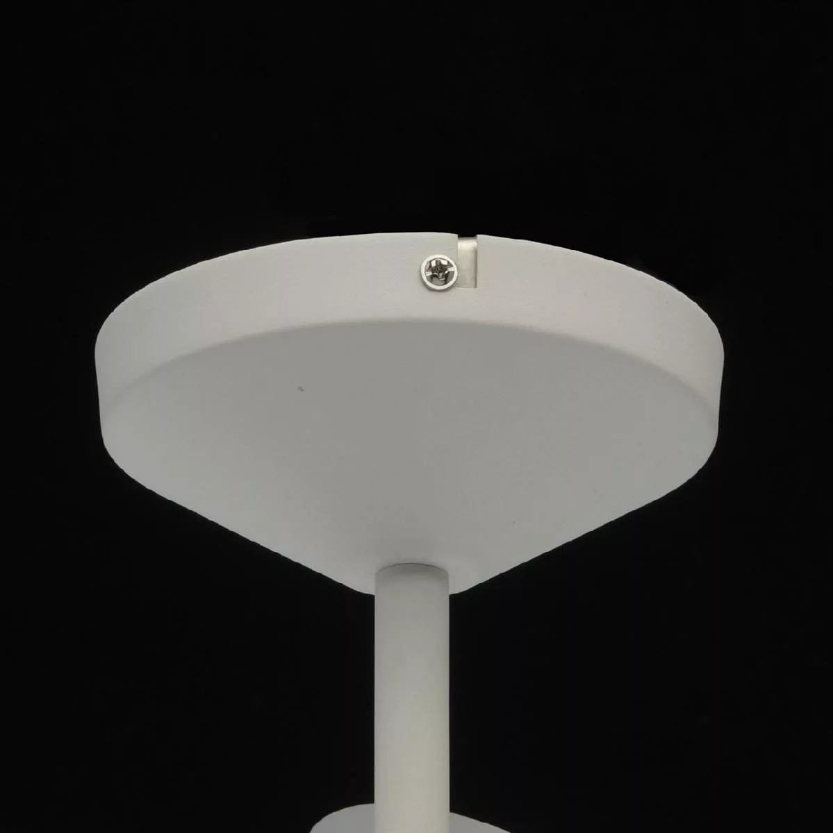 Потолочный светильник De Markt Хартвиг белый 717010903