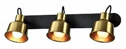 Светильник настенно-потолочный спот Rivoli Lenore 7060-703 3 х Е14 40 Вт поворотный с выключателем