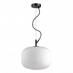 Подвесной светильник Odeon Light Pendant 4754/1