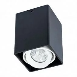 Потолочный светильник ARTE LAMP PICTOR Черный A5655PL-1BK