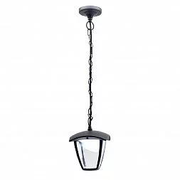 Уличный подвесной светильник Citilux Черный CLU04P