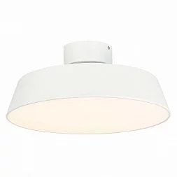 Светильник потолочный Белый/Белый LED 1*30W 3000K VIGO SLE600252-01