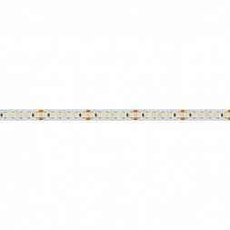 Светодиодная лента RT6-3528-180 24V White6000 3x (900 LED) (Arlight, 14.4 Вт/м, IP20) (017429)