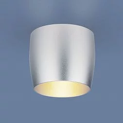 Встраиваемый точечный светильник 6074 MR16 SL серебро Elektrostandard a043976