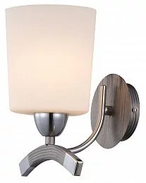 Настенный светильник (бра) Maytoni TOC001-01-N