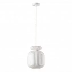 Подвесной светильник Odeon Light Pendant 5042/1C