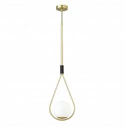 Подвесной светильник Odeon Light Pendant 4810/1