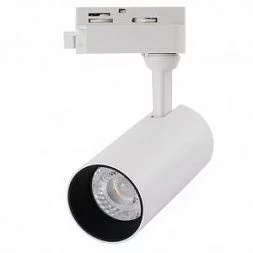 Трековый светильник Arte Lamp REGULUS Белый A4568PL-1WH