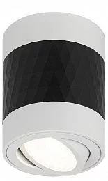 Светильник настенно-потолочный спот ЭРА OL33 WH/BK MR16 GU10 IP20 черный, белый